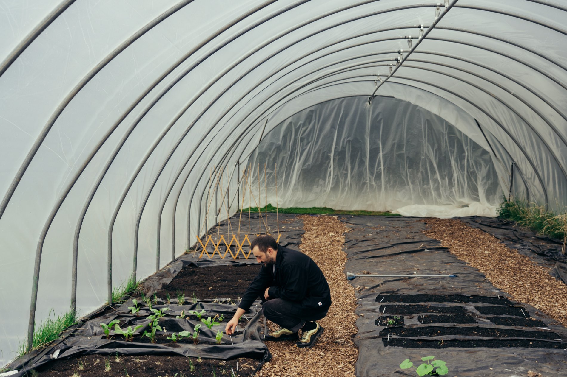 Tomás planting out the first beds in the polytunnel at the Cardinal Kitchen Garden