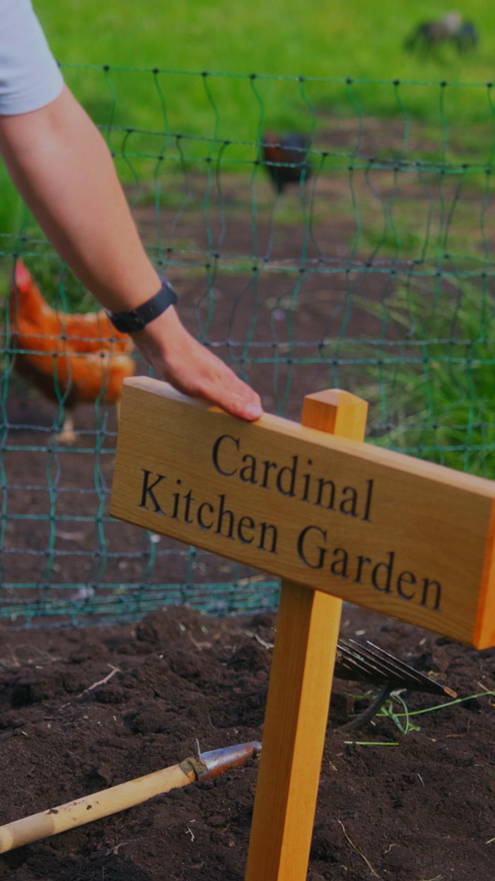 The Cardinal Kitchen Garden at Bramblewood Farm